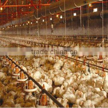 2015 Modern Broiler House Construction photo-6