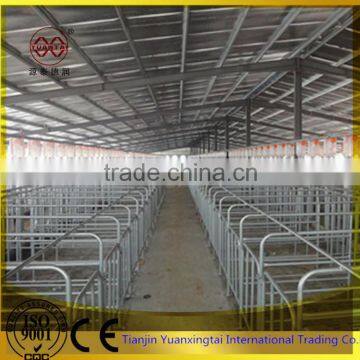 galvanised pipe for sow farrowing cage pig crate/gi steel pipe