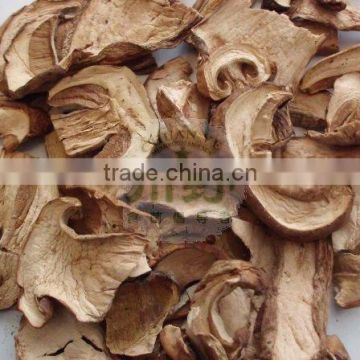 Dried Porcini Mushrooms Dried Boletus Mushroom