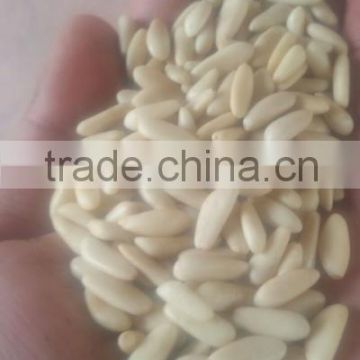 Best Natural Pine Nuts best cleaned Grade AAA ,turkish pine nut , pine nut price ,pine nut market