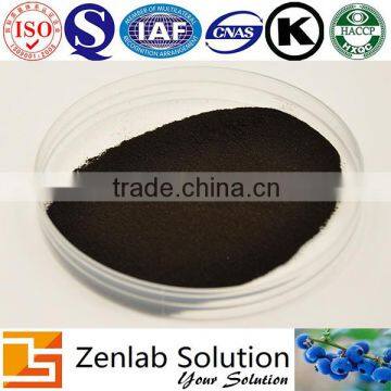 organic bilberry extract, bilberry powder manufacture, Chinese Vaccinium myrtillus L