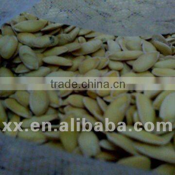 turpan hami melon seed