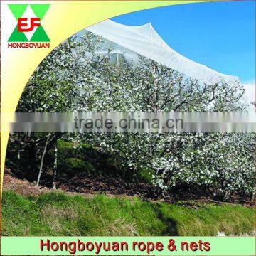 HDPE fruit tree protection net plastic anti-hail net for sale