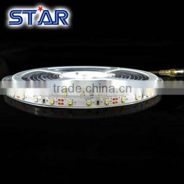 3528 12V 30LED/M IP67 Waterproof Single Color LED strips