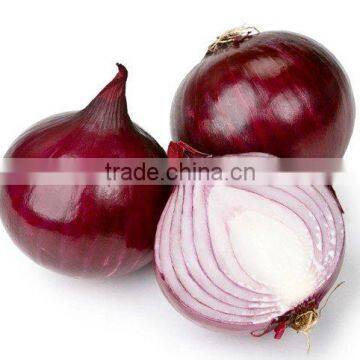 Indian Fresh Red Onion Packed in mesh Bags