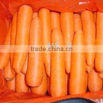 fresh carrot,new crop carrot