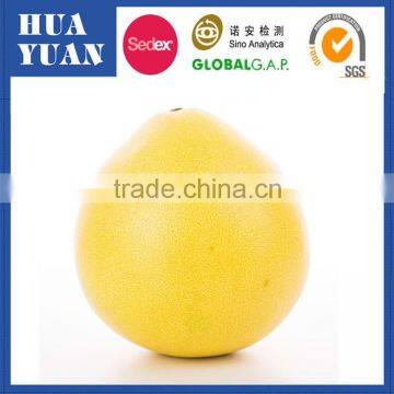 Chinese fruit export fresh honey pomelo