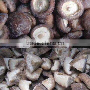 Frozen IQF Shiitake mushroom