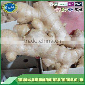 Professional supplier,exporter dry ginger