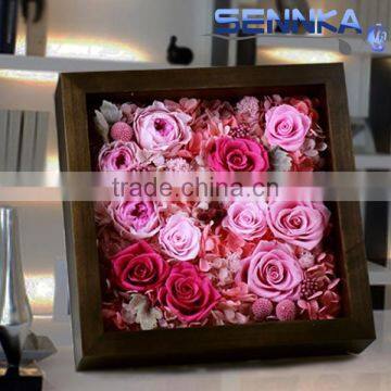 Names Of Preserved Flower in Gift Box stabilizing flower Anthurium Price