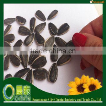 Round Shape Striped Hot Selling Fresh Sunflower Seeds 1121