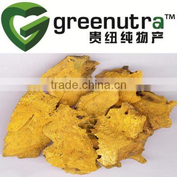 giant knotweed root extract powder/polygonum cuspidatum root extract powder/polygonum cuspidatum root powder