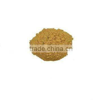 Coleus extract powder 95%