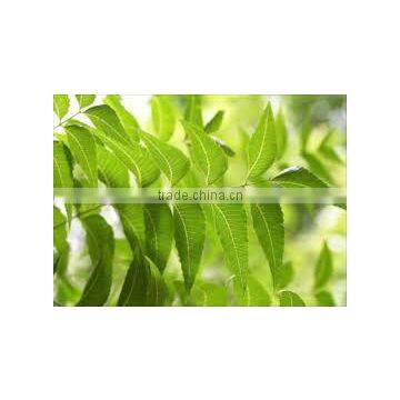 Neem Oil Pure photo-2