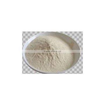 Natural High density Chitosan powder