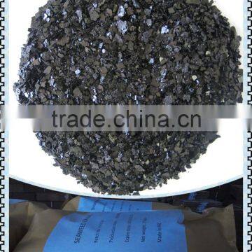 Seaweed Extract Powder