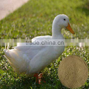 Wholesale Price of Natural Feed Additives Kelp Meal