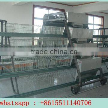 Poultry Layer Chicken cage(FACTORY PRICE)