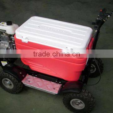 Hot Sale 48L 43cc EPA Gas Cooler Scooter/camping Scooter (TKS-S43) photo-5