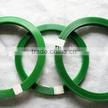 2016 China Supply Green Plastic Packing Strap Pet Packing Belt photo-3
