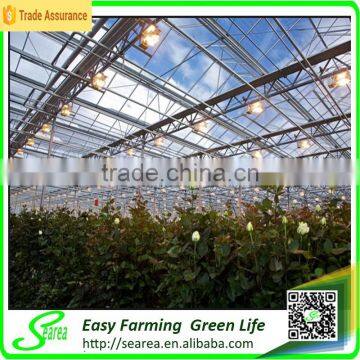 Gothic Arch Greenhouse photo-5