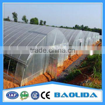 Cheap Price Single Tree Greenhouse photo-6