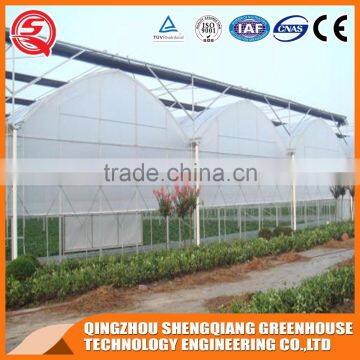 2017 China plastic low cost greenhouse agriculture farming for sale