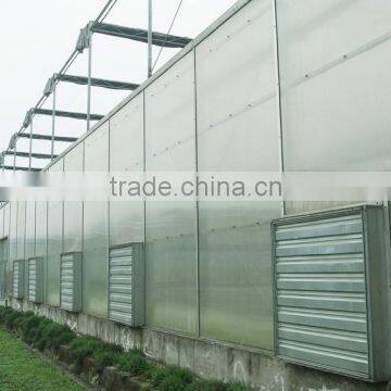 High Tunnel Plastic Agricultural Greenhouses for Sale photo-5