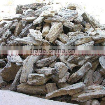 NATURAL STONE PETRIFIED WOOD TILES SLABS