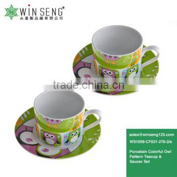 Colorful Owl Pattern Teacup And Saucer 2 Sets Wholesale Porcelain