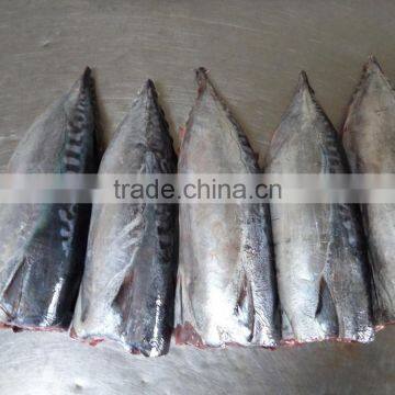 Frozen Bonito HGT photo-2