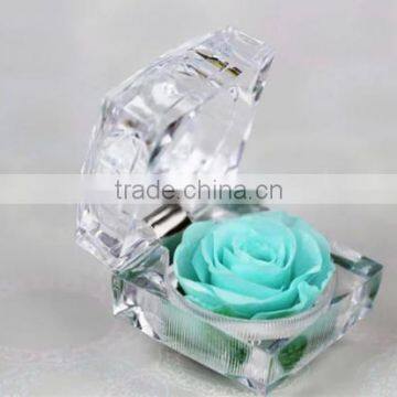 Fashionable And Natural Real Rose Preserved Flowers Wholesale With Acrylic Ring Box Decoration photo-5