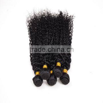 Free Sample Hair Bundles,2016 Hottest Virgin Mongolian Kinky Curly Hair photo-4