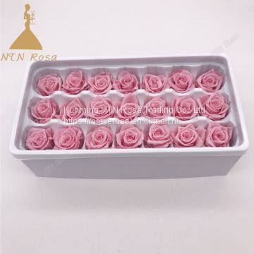 Grade A Size 2-3 cm  Preserved Forever Eternal Rose flower from Kunming Yunnan