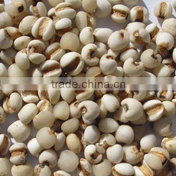 organic pearl barley