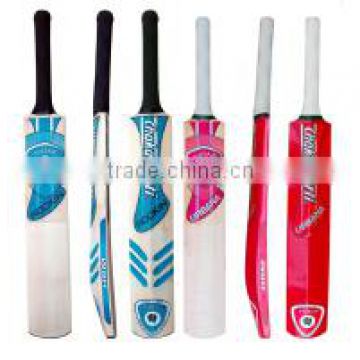 Indoor Kashmir Willow Cricket Bat