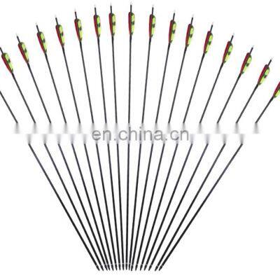 Wholesale customized target/hunting archery arrows with pure carton shafts