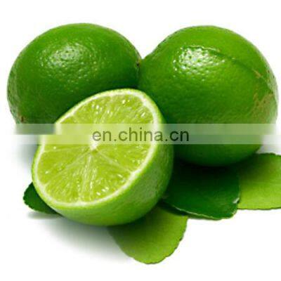 TOP FOOD FAMOUS FOR VIIET NAM GREEN LEMON HIGH QUALITY WITH BEST PRICE photo-2