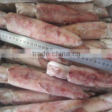 Frozen whole round squid