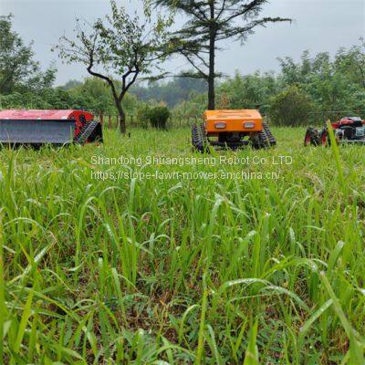 China RC Brush Mower With Best Price For Sale Buy Online photo-5