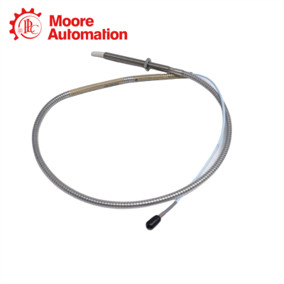 BENTLY NEVADA 330910-00-11-10-02-05 photo-2