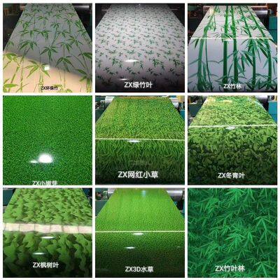 3D Pattern Flower Bird Wood Design PPGI Color Steel Coil on Sale photo-2
