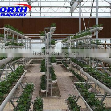 Cheapest Hot Sale and Easily Installed Commercial Greenhouse