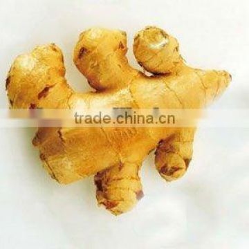 Chinese Ginger