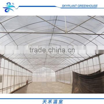 Film high quality Anti-UV stronge frame Greenhouse