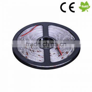 SMD 5050 Pure White Color Led Strip Light Waterproof Flexible Led Strip photo-3