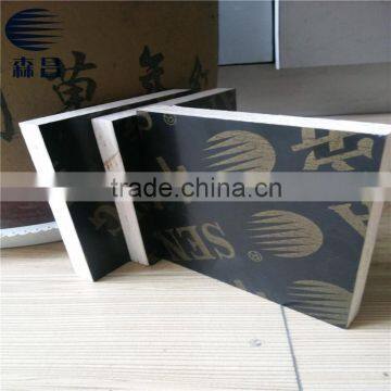 1220*2440*10mm eucalyptus core black film faced plywood