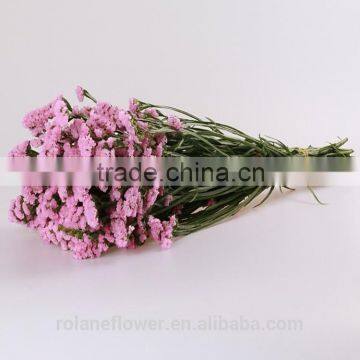 Supply Gypsophila Million Stars Cutting New Gypsophila With 1kg/bundle From Yunnan, China photo-5