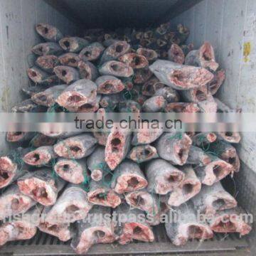 SEAFROZEN BLACK MARLIN DWT photo-3