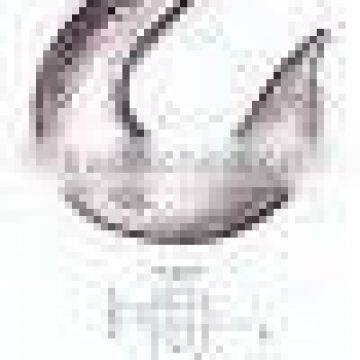 Chain Sling Hook and Fittings photo-3